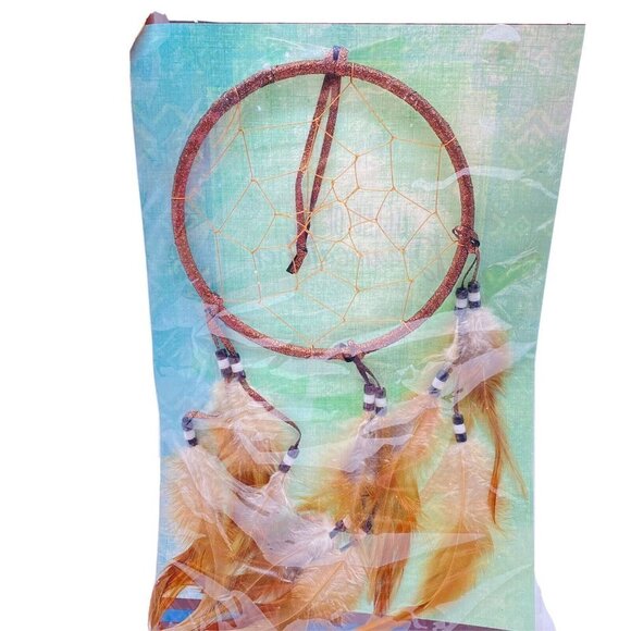 Lakota Sioux Dream Catcher St. Joseph's Indian School 6" Hoop 14" Long Feathers - Picture 2 of 6